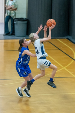 Lynx-Championship-Game-29-of-85