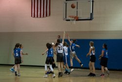 Lynx-Basketball-00539