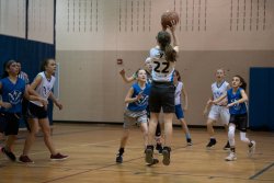 Lynx-Basketball-00580