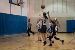 Lynx-Basketball-00670