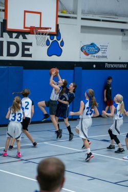 Lynx-Basketball-07269