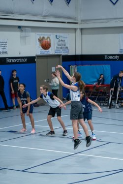 Lynx-Basketball-07271