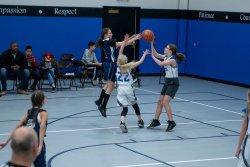 Lynx-Basketball-07272