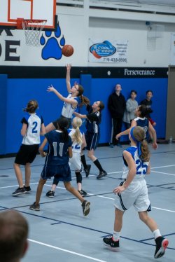 Lynx-Basketball-07283