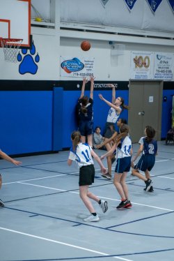 Lynx-Basketball-07288