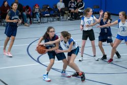 Lynx-Basketball-07310