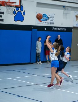 Lynx-Basketball-07324