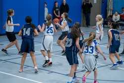 Lynx-Basketball-07338