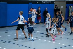 Lynx-Basketball-07341