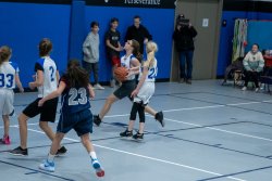 Lynx-Basketball-07346