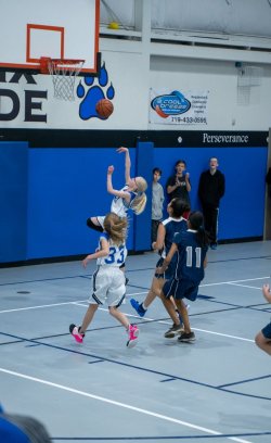 Lynx-Basketball-07350