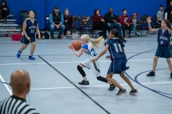 Lynx-Basketball-07352