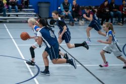 Lynx-Basketball-07368