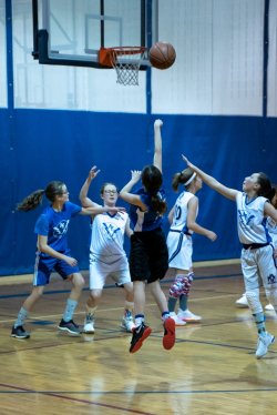 Lynx-Basketball-07438