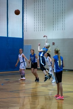 Lynx-Basketball-07482