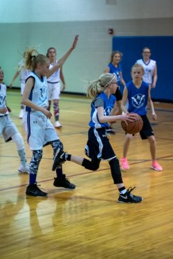 Lynx-Basketball-07520