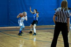 Lynx-Basketball-07538