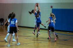 Lynx-Basketball-07548