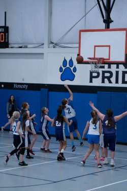 Lynx-Basketball-08270