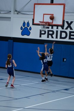 Lynx-Basketball-08336