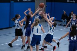 Lynx-Basketball-08341