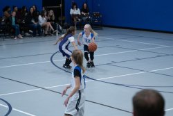 Lynx-Basketball-08361