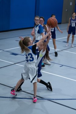 Lynx-Basketball-08376