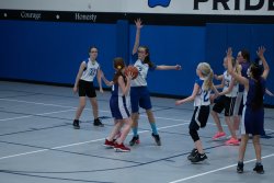 Lynx-Basketball-08440