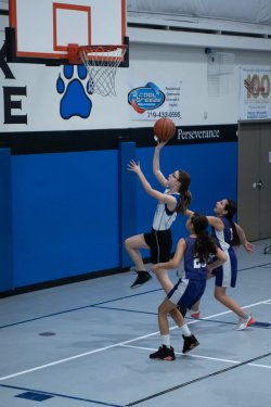 Lynx-Basketball-08442