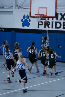 Lynx-Basketball-08459