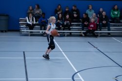 Lynx-Basketball-08462