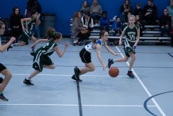 Lynx-Basketball-08467