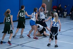 Lynx-Basketball-08487