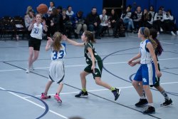 Lynx-Basketball-08529