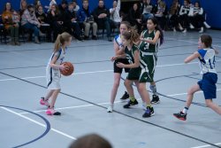 Lynx-Basketball-08535