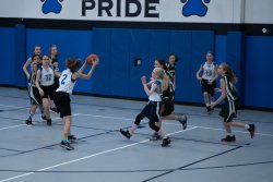 Lynx-Basketball-08544