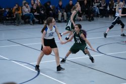 Lynx-Basketball-08552