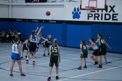 Lynx-Basketball-08559