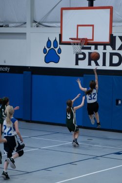 Lynx-Basketball-08563