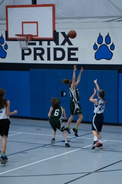 Lynx-Basketball-08585