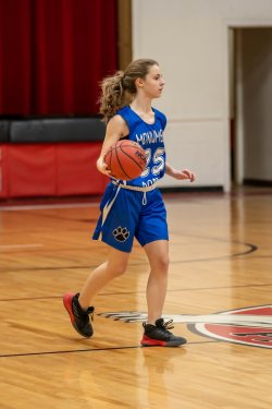 Lynx-Game-1-18-of-91