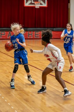 Lynx-Game-1-23-of-91