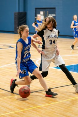 Lynx-Game-2-19-of-62