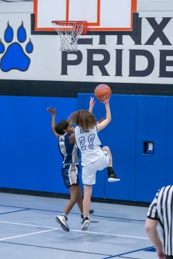 Lynx-Game-3-19-of-73