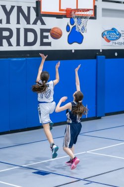 Lynx-Game-3-60-of-73