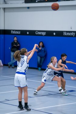 Lynx-Game-4-18-of-49