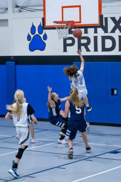 Lynx-Game-4-27-of-49