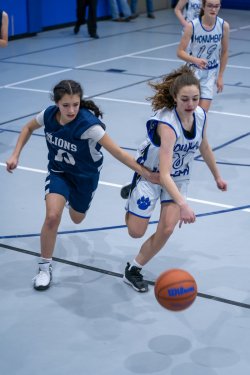 Lynx-Game-4-29-of-49