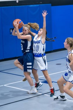 Lynx-Game-4-32-of-49