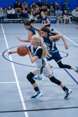 Lynx-Game-4-40-of-49